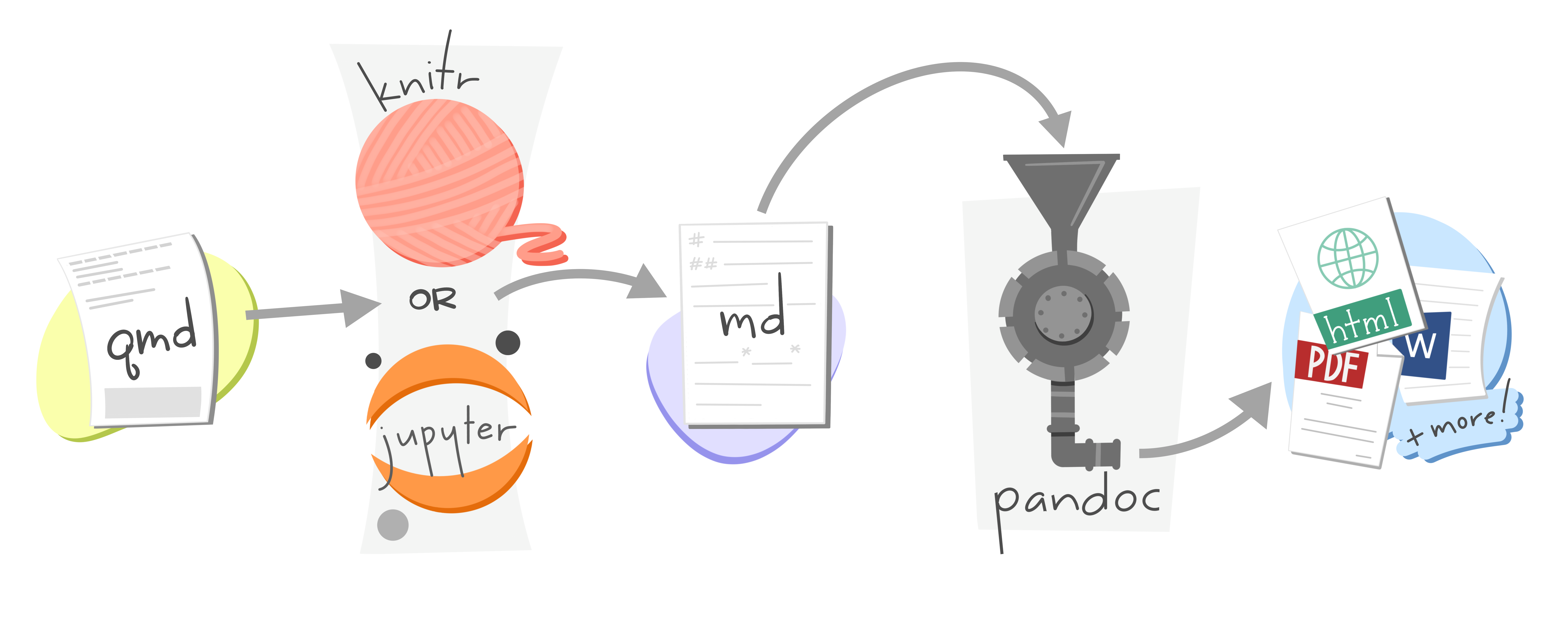 A schematic representing rendering of Quarto documents from .qmd, to knitr or jupyter, to plain text markdown, then converted by pandoc into any number of output types including html, PDF, or Word document.